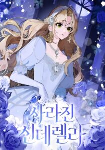 Cinderella Disappeared